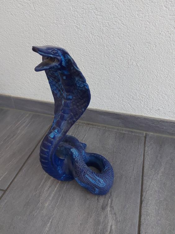 A raríssima cobra azul  Schöne schlangen, Reptilien und amphibien