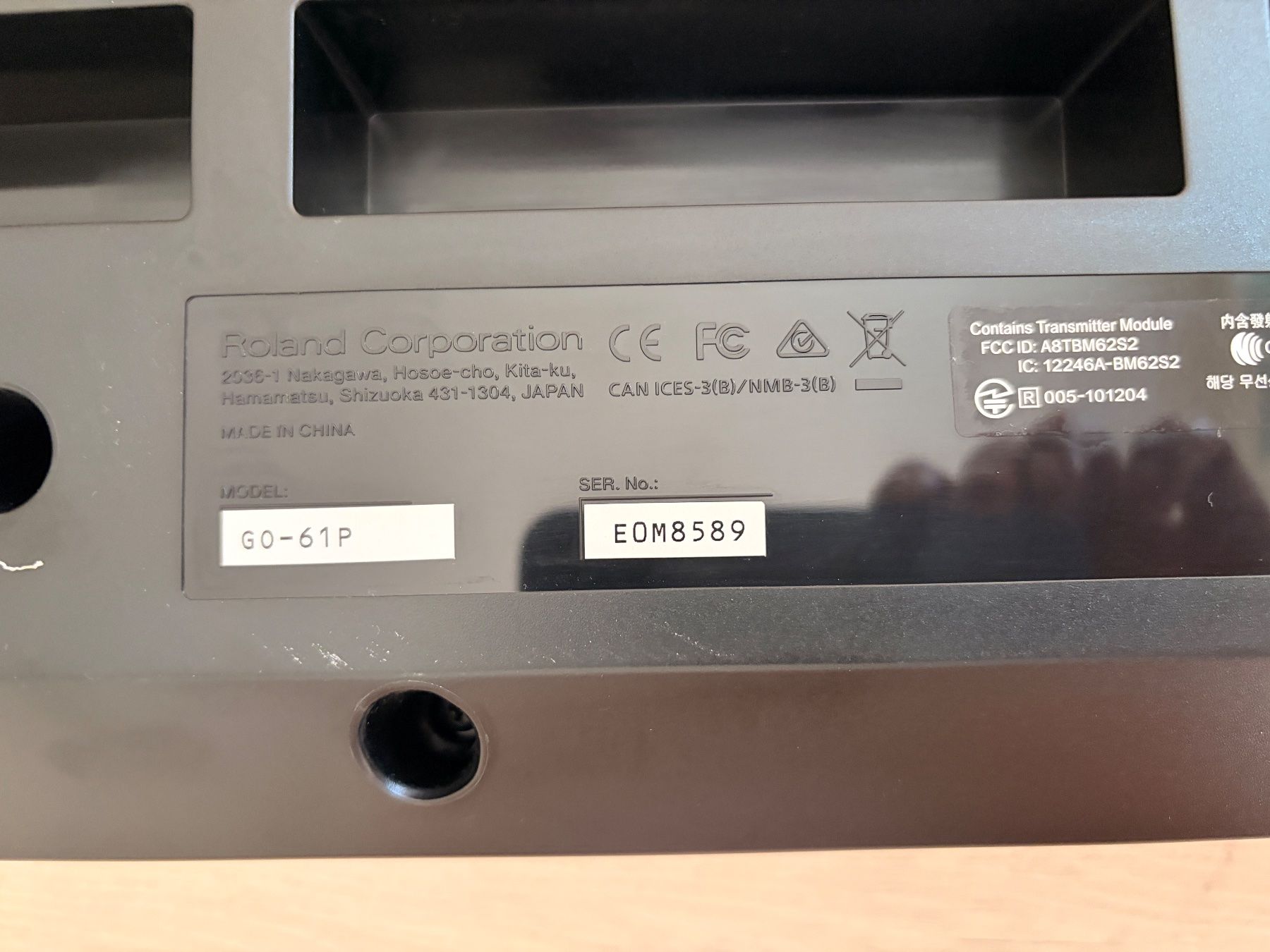 Roland Strumenti musicali: Roland GO PIANO 61 P – Usato da Egerkingen venduto da TizianaG. 5