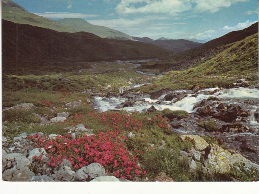 Ansichtskarten: Arosa ca. 1970 – Gebraucht aus Bürglen TG von StampGraf