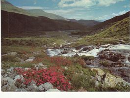 Arosa ca. 1970