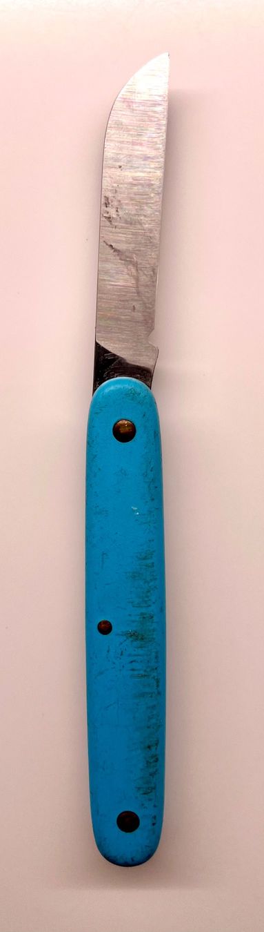 Victorinox Coltelli tascabile: Sackmesser Victorinox – Usato da Inwil venduto da TheSwissEagle 1