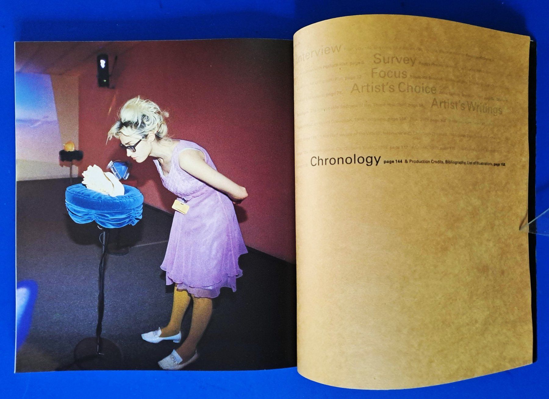 Libri: PIPILOTTI RIST Erstausgabe 2001 Phaidon TOP – Usato da Zürich venduto da archiphil 9