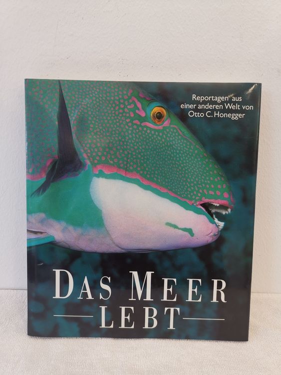 Buch "Das Meer lebt" Kaufen auf Ricardo