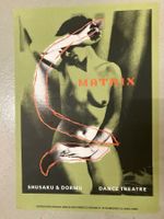 Matrix - Shusaku Dance Theatre Amsterdam 1990