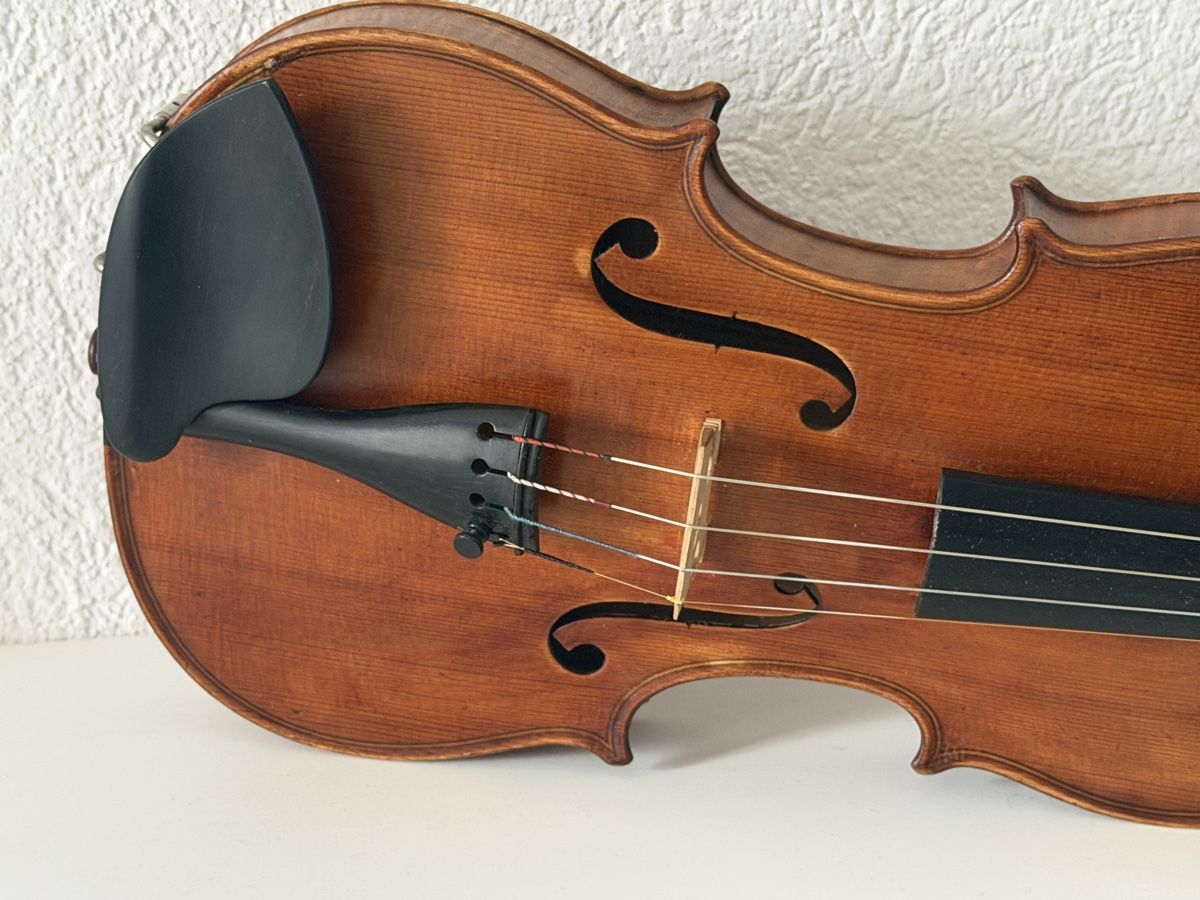 Strumenti musicali: Violon Allemand 4/4 – Usato da bassecourt venduto da LiN2004 2