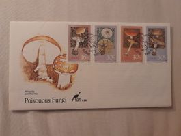 Enveloppe Premier Jour Illustrée - Thème Champignons Toxique
