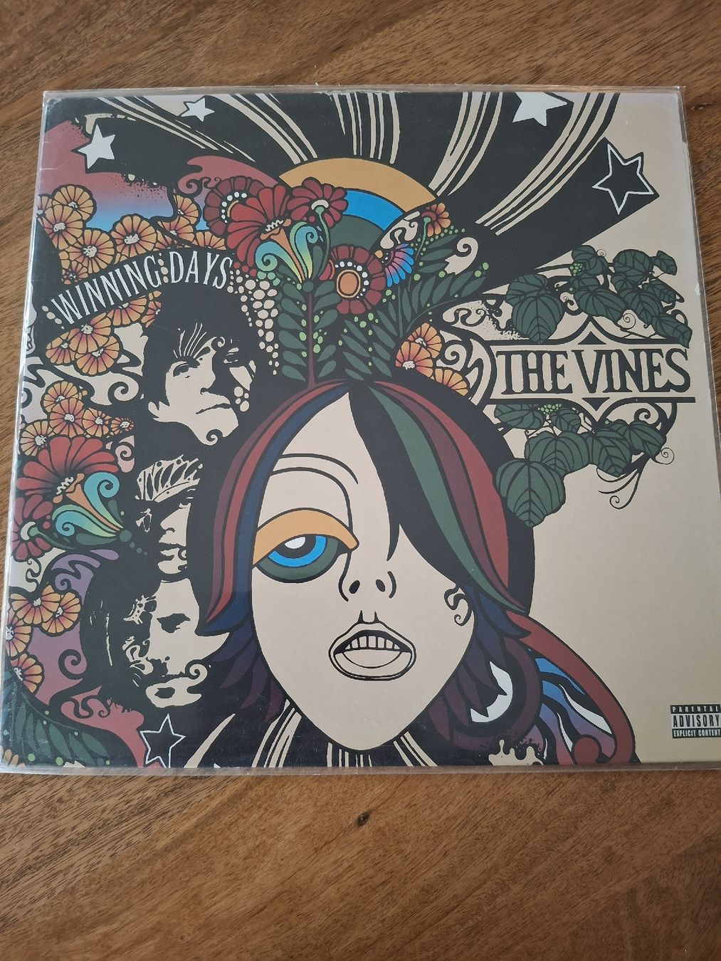Dischi in vinile: The Vines - Winning days - LP  – Usato da LAUSANNE venduto da DESH3