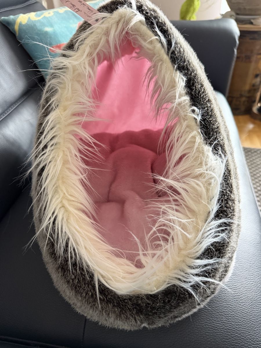 Cucce & Letti: Panier pour chat peu utilisé – Nuovo (secondo la descrizione) da Dombresson venduto da feline_ne 2