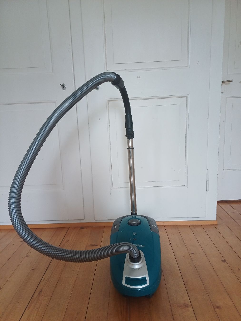 Rowenta Aspirapolveri & Accessori: Rowenta Staubsauger RO3142 Power XXL – Usato da Baden venduto da hakais 1