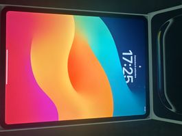 Apple iPad Pro grigio siderale in ottime condizioni