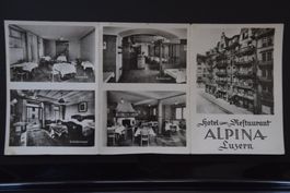 AK Luzern, Hotel Alpina