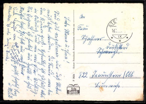 Cartes postales: Steinach am Bodensee, Teilansicht mit Ar – D'occasion à Berlin par bartko-reher 1