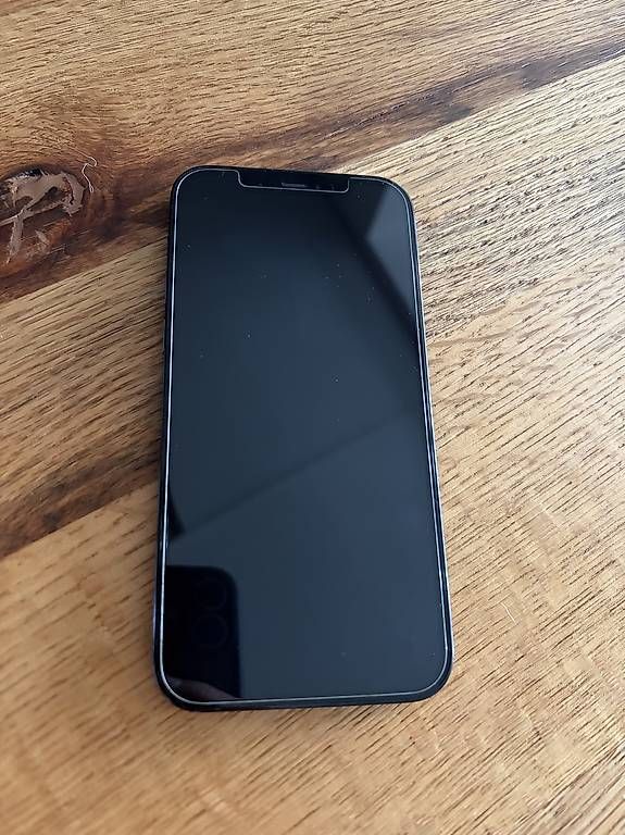 Telefoni cellulari / Smartphones: iPhone 12 Pro 128 GB - Blau – Usato da Dielsdorf venduto da digger181