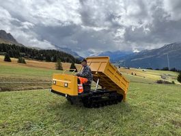 Raupenkipper/Dumper 3 to Ladegewicht