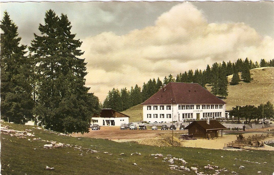 Ansichtskarten: Vue des Alpes – Gebraucht aus Richterswil von solalex