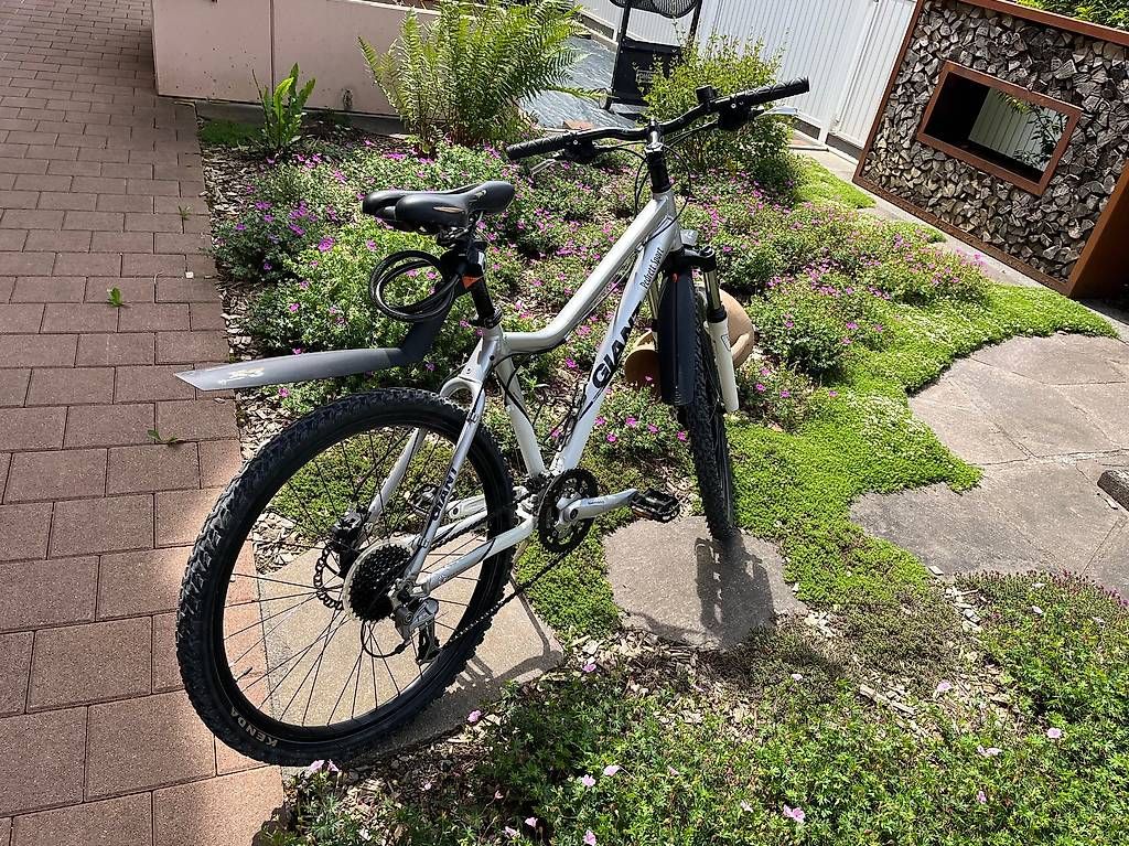 Biciclette: MTB für Damen – Usato da Winterthur venduto da Mittagsspitz 1