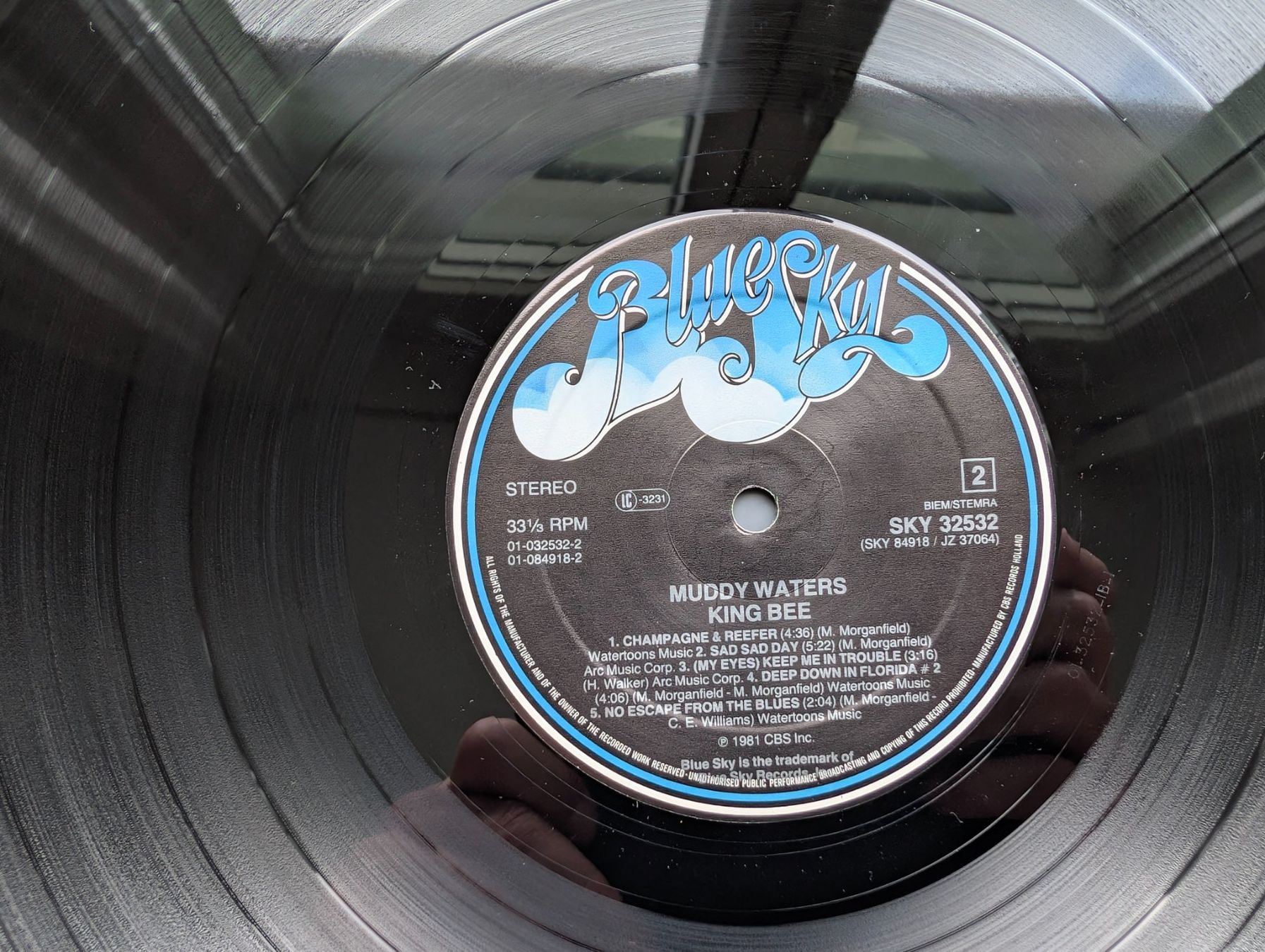 Dischi in vinile: Muddy Waters – King Bee – Usato da Ebikon venduto da kisuM 7