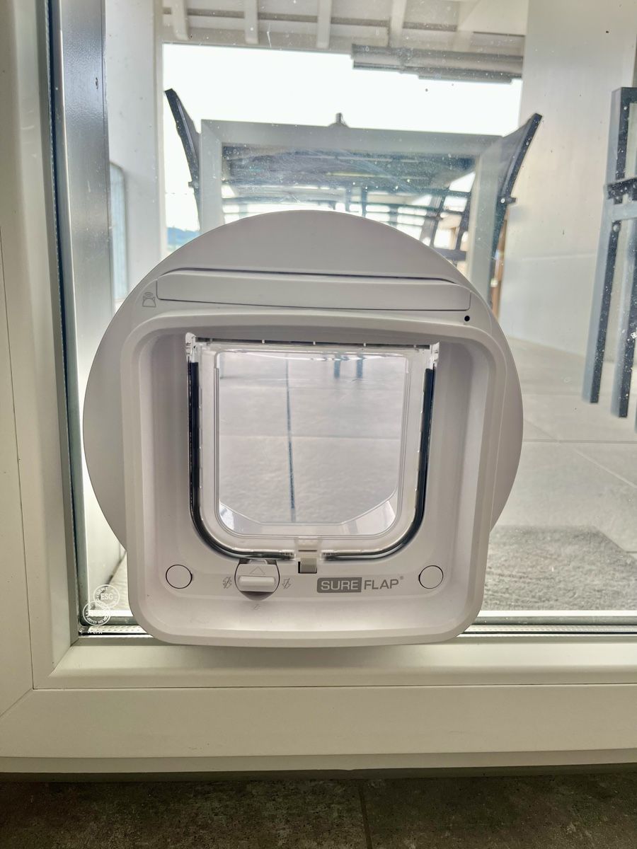 Finestre: 3fach ESG-Fenster mit Katzenklappe – Usato da Wängi venduto da cocose 1