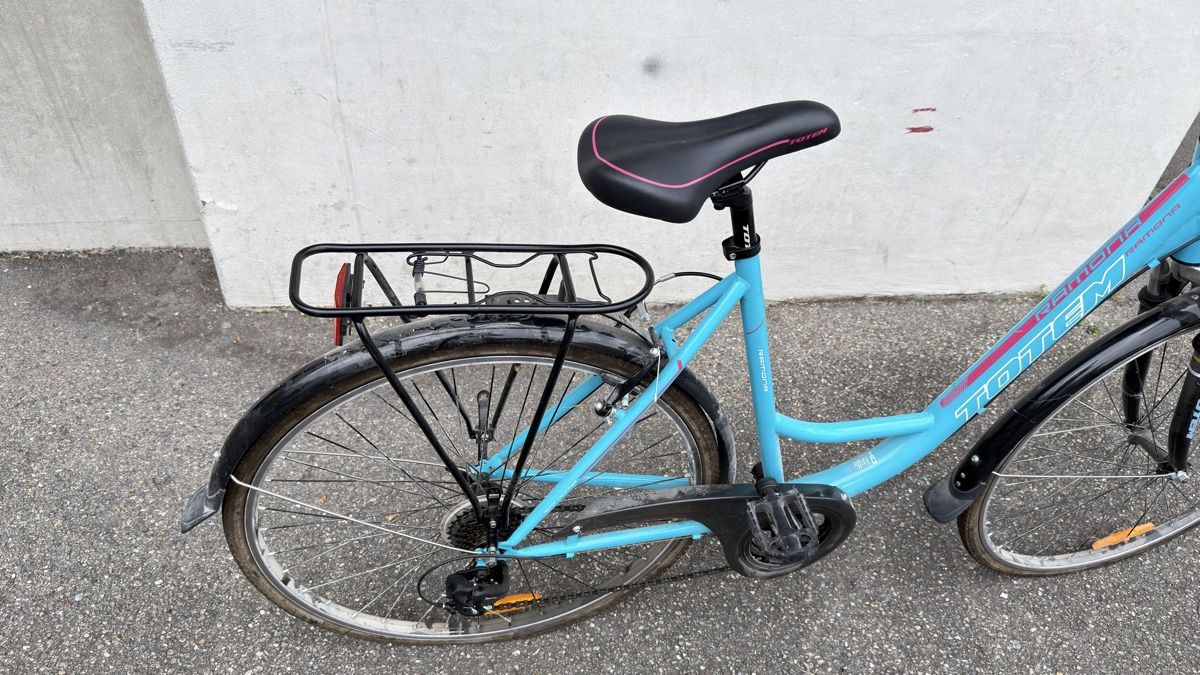 Biciclette: Damen Velo – Usato da schlieren venduto da elezkurtaj 1