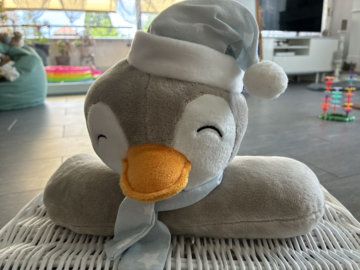 Altro per la casa: Korb mit Pinguin-Plüschtier – Usato da Muhen venduto da Sally203 1