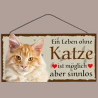 🔥 LEBEN OHNE KATZE IST SINNLOS Holzschild 🎀 12x25cm NEU 🔥