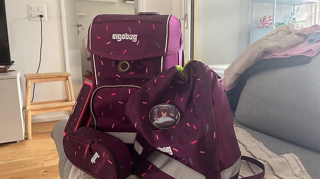Ergobag Borse & Zaini: Ergoback Schulthek (1.-3. Klasse) – Usato da Zürich venduto da fab_p8y6 3