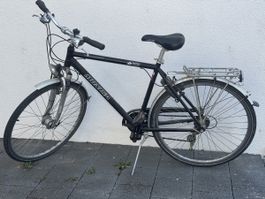 Herren Fahrrad Mondia