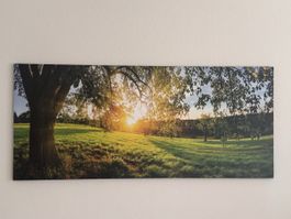 Leinwandbild Sonnenuntergang Landschaft Baum Wiese 150x50cm