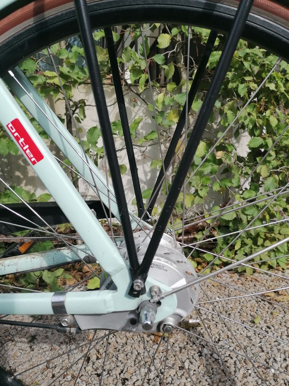 Biciclette: Velo Damen Ortler – Usato da Olten venduto da flavibavi 6