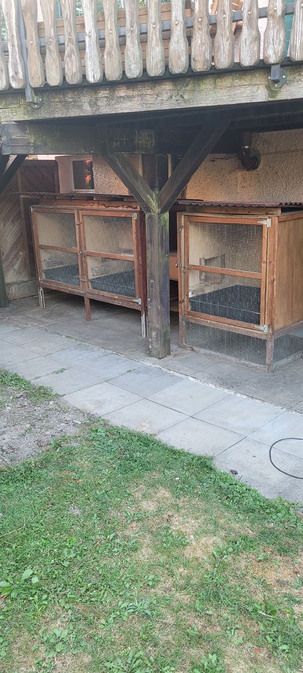 Cages, transport & sécurité: Holz-Kleintiergehege mit 3 Abteilen – D'occasion à Frauenfeld par ricola22 1