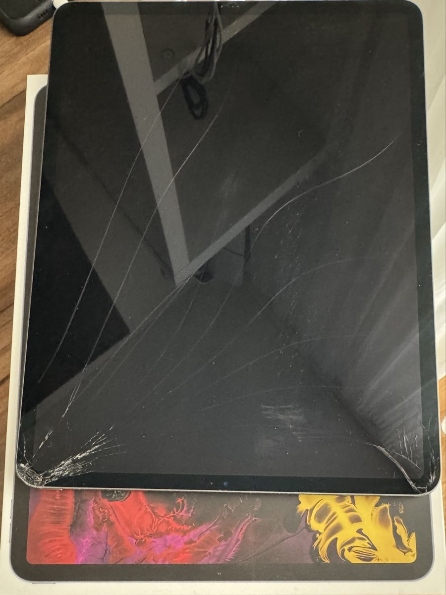 Apple Tablet PC: Ipad Pro 12.9 Gen 3 256GB – Usato da Lengnau BE venduto da gebot1988 2