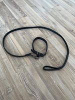 Collier et laisse noir