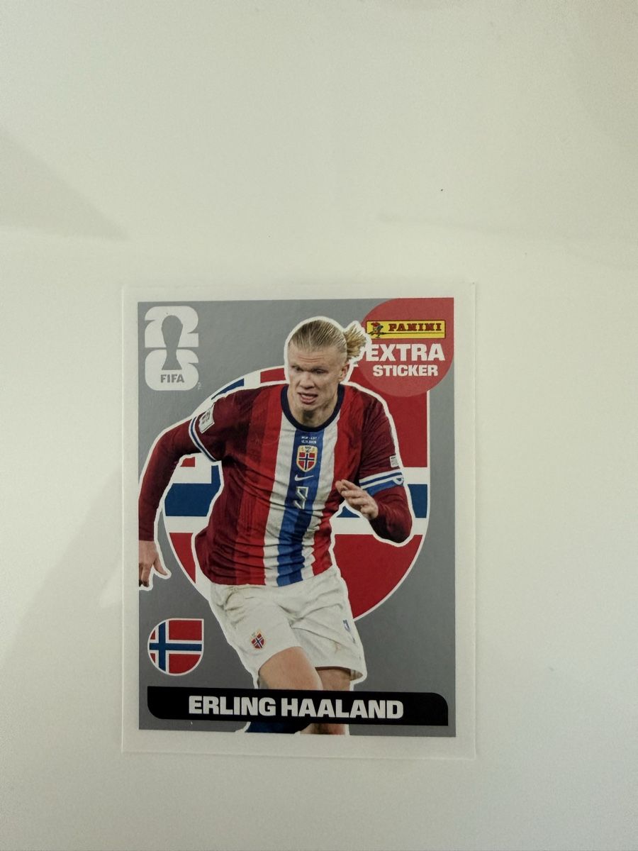 Panini Carte collezionabili: Haaland extra sticker Silver  – Nuovo (secondo la descrizione) da Blignou (Ayent) venduto da fre_6gqm