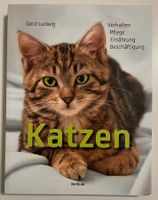 Katzen: Verhalten, Pflege, Ernährung, Beschäftigung