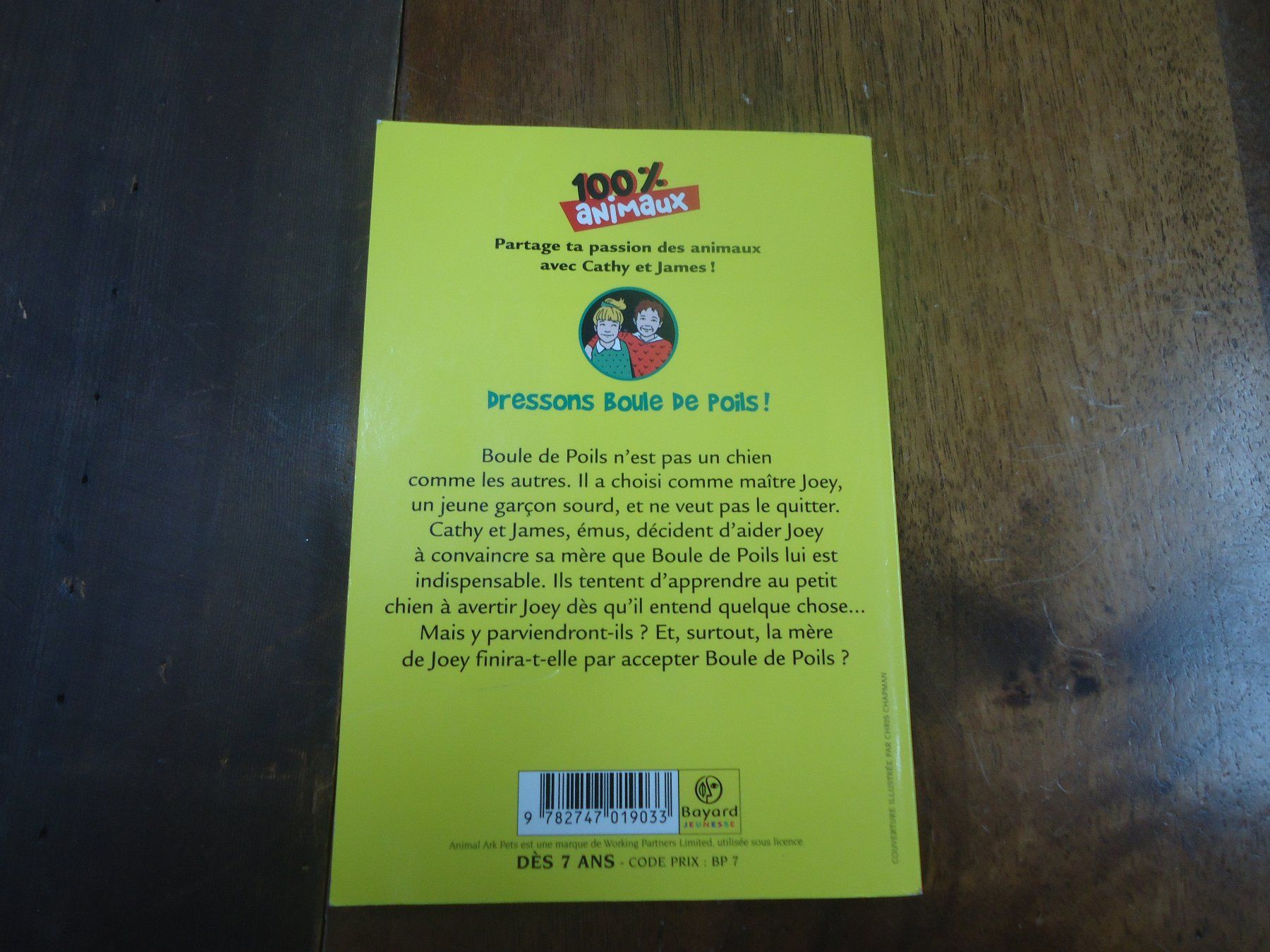 Libri: Dressons Boule de Poils – Usato da Vessy venduto da mafabe 1
