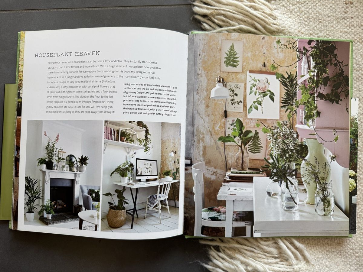 Libri: Botanical Style Book - Excellent Condition! – Nuovo (secondo la descrizione) da Zürich venduto da lui_ns5h 3