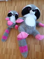 Waschbär gross und klein