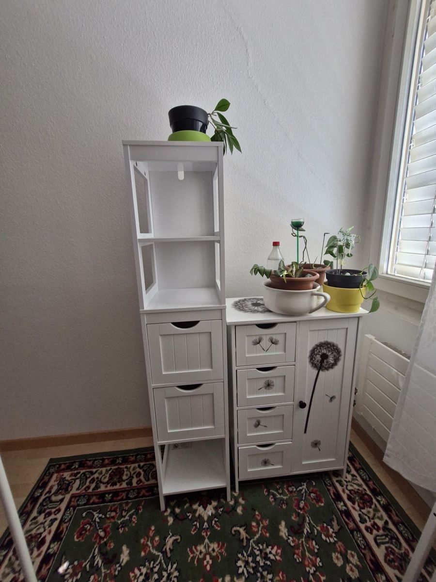 Regale: Regal mit Schubladen und Kommode  – Gebraucht aus Auenstein von moin.