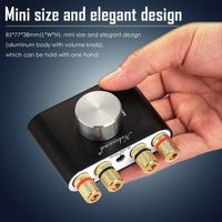 Digital Power Amplifier HiFi Stereo Verstärker  Mini