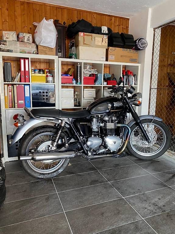 Triumph Strasse: Vendesi moto – Gebraucht aus Canobbio von sus_h98b 3