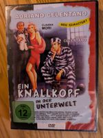 Ein Knallkopf in der Unterwelt (DVD - NEU - A. Celentano)