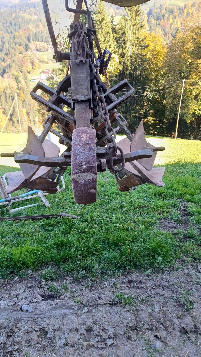 Aratri: Einschaarpflug – Usato da Horboden venduto da 1999patris 2