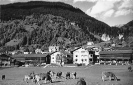 Klosters Dorf Kühe / Berni Karte