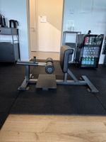 Sissy Squat Rack zu verkaufen