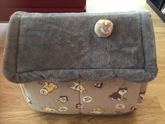 Dackel Küchenhandtuch – Plüsch-Velours, Weich, 38x63 Cm, Mikrofaser, Hundemotiv, Waschbar