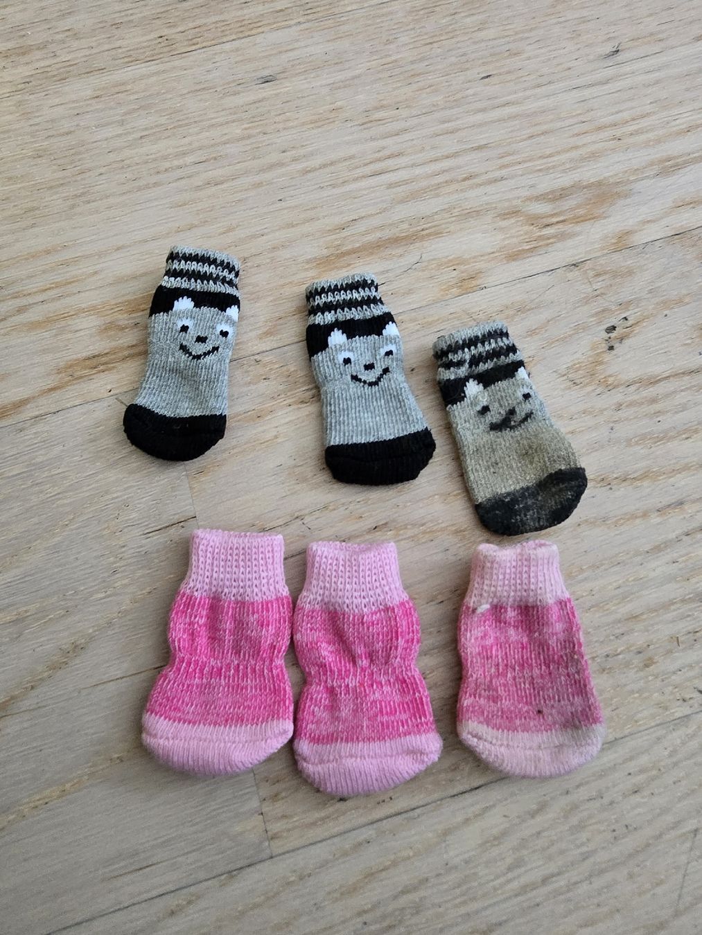 Bekleidung: Hundesocken – Gebraucht aus Rickenbach b. Wil von Kth_v8 1