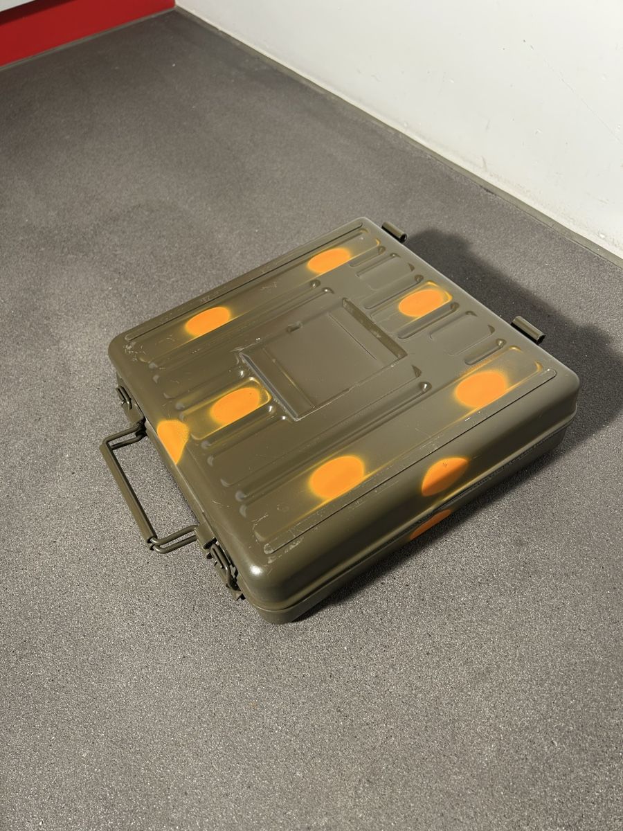Valigie: Armee Blechkoffer – Usato da Kreuzlingen venduto da Pix66 2