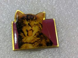 Ansteckpin 107: Whiskas