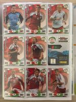 Panini Road to 2014 FIFA World Cup Brazil - Danmark