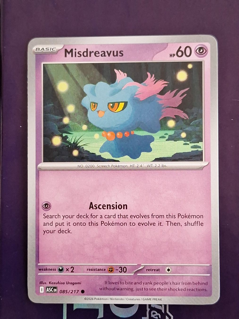 Pokémon Carte collezionabili: Misdreavus - Pokemon Ascended Heroes – Usato da Altstätten SG venduto da GGsGameshop